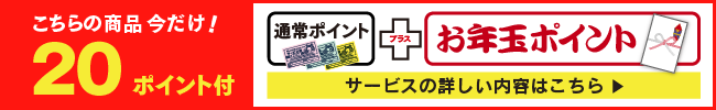 お年玉ポイントつき