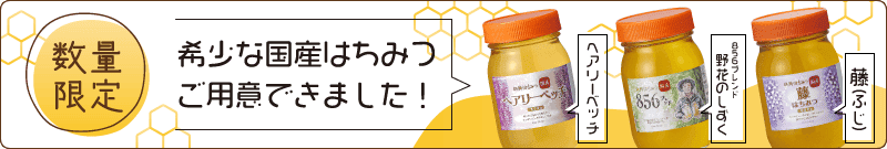 2025秋キャンペーン