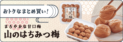 2025秋キャンペーン