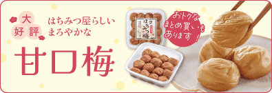 2025年冬のおうかがいキャンペーン