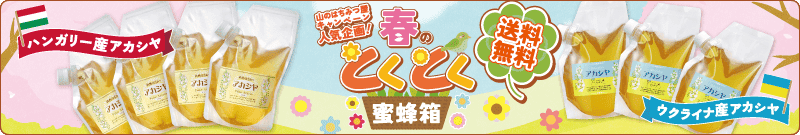 とくとく蜜蜂箱