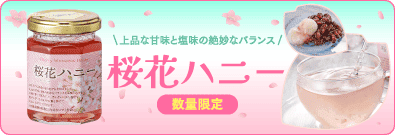桜花ハニー