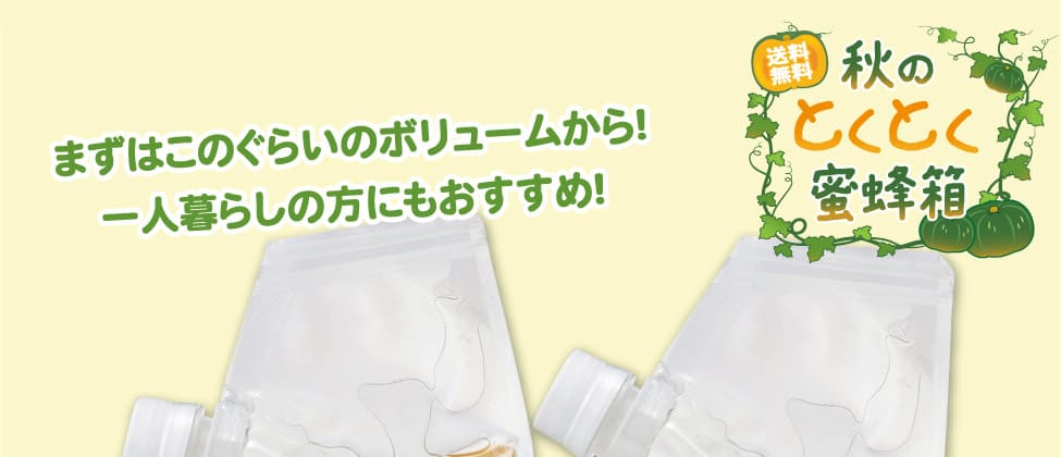 秋のとくとく蜜蜂箱