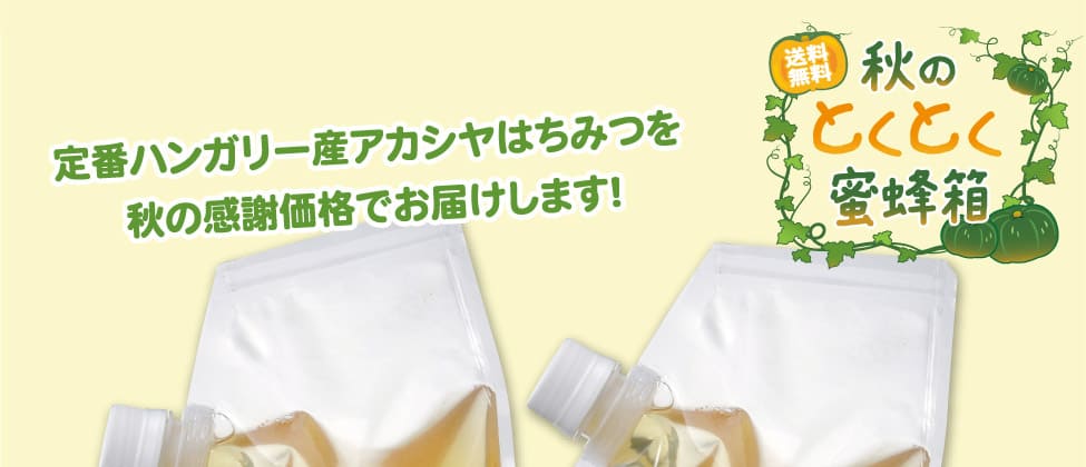 秋のとくとく蜜蜂箱