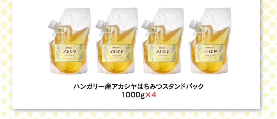 秋のとくとく蜜蜂箱