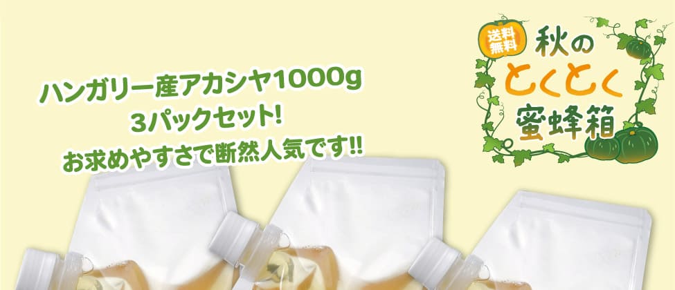 秋のとくとく蜜蜂箱