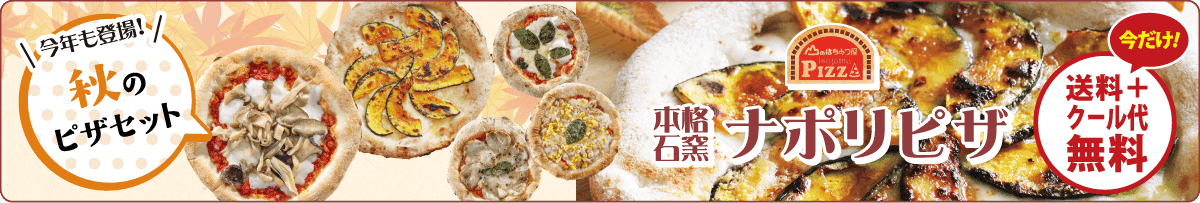 ナポリピザセット送料無料