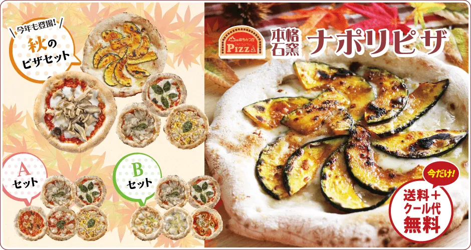 石窯ナポリピザ送料無料