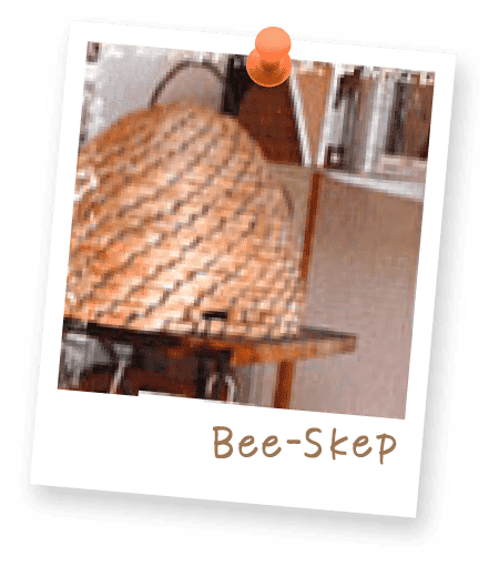 BEE-SKEP